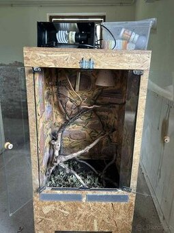 Terárium pro chameleona