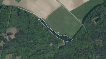 Les, prodej, Radhošť, Ústí nad Orlicí - 1
