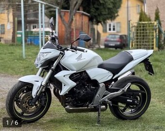 Koupím Hondu cb600 Hornet