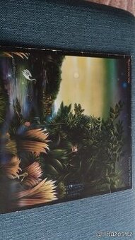 LP fleetwood mac-tango in the night