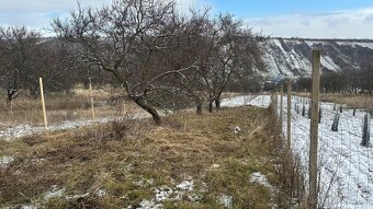 Zahrada Němčičky u Hustopečí - 358m, příjezd až k pozemku