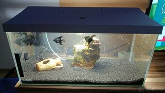 Prodam akvarium