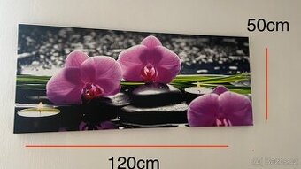 Obraz na plátně - orchidej - 1