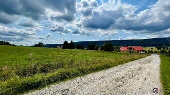 Prodej pozemku, 3 067 m2 - Orlické Záhoří, ev.č. 00522