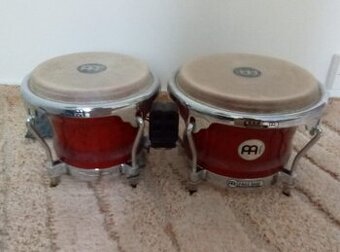 Bubny Bongo