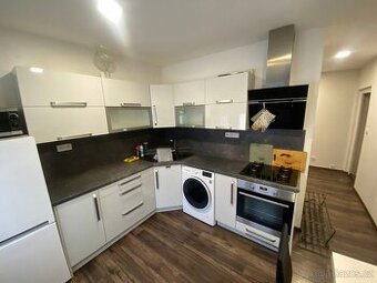 Pronájem bytu 1+1,42m , Karlovy Vary, ulice Severní Rybáře