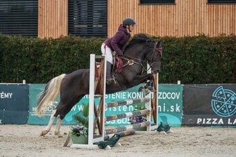 5ročná kobylka Pony B do športu