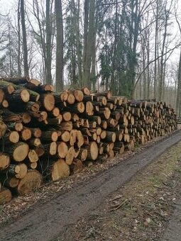 Palivové dřevo tvrdé - Prostějov a okolí