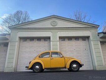 VW BROUK SUNNY BUG