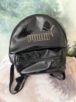 Mestsky batuzek puma - 1