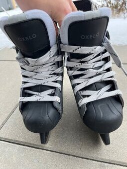 Brusle v hokejovem designu H100