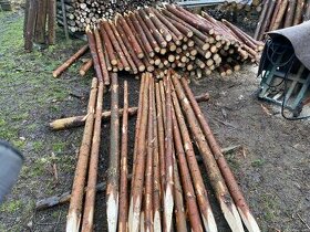 Dřevěné kůly