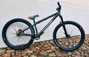 CANNONDALE Dave 2024