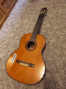 Kytara Valencia CG190