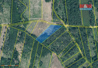 Prodej lesa, 15115 m², Jetětice