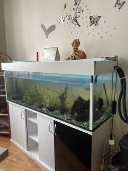 🐠 Velké vybavené akvárium 270L + skříňka (kompletní set)
