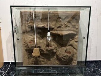 Terárium pro plazy