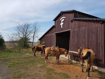 Práce pro pár na ranči s ubytováním