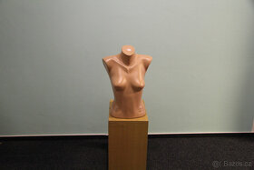 vybavení obchodu oděvy