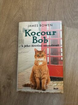 Kocour Bob