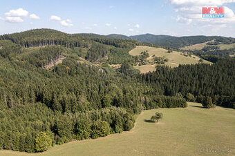 Prodej lesa, 8743 m², Valašská Senice