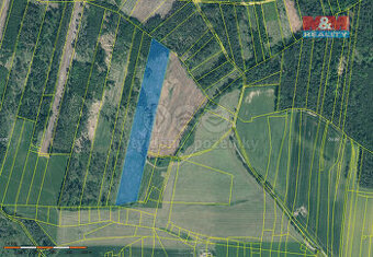 Prodej lesa, 31088 m², Jetětice
