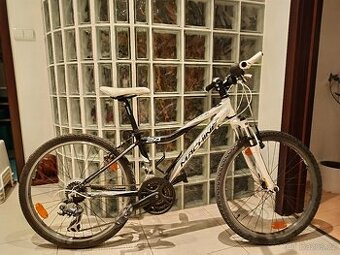 Kolo Rock Machine Surge 24