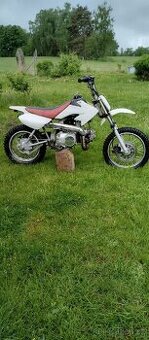 Pitbike Kopie Honda 110 - 80
Text