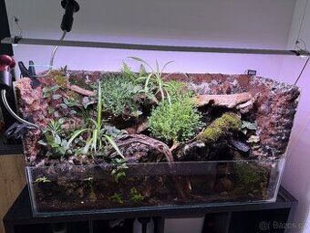 Otevřené přírodní Paludarium s kraby red tomato