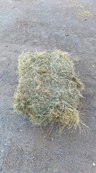 Seno malé balíky