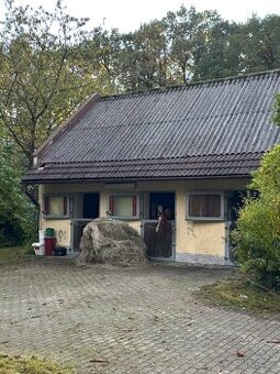 Boxové ustájení koní