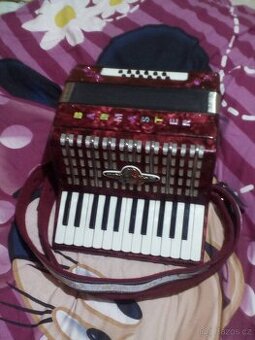 Akordeón Badmaster