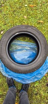 4 x BARUM POLARIS 5 XL