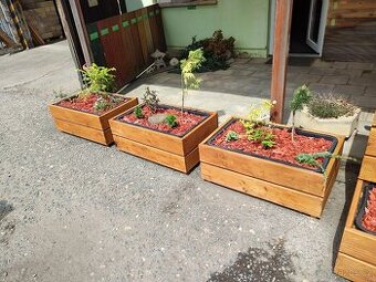 Vyvýšené  modřínové truhlíky