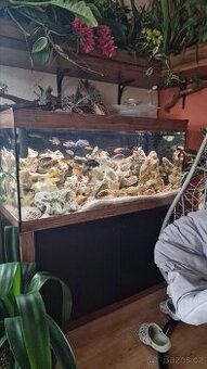 Plně vybavené akvárium