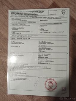 Plemenný byl masný simental