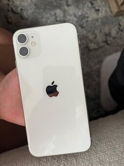 Apple 11