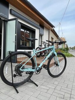 MARIN DSX