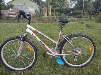 Author Spectra SX, rám 18, kola 26"