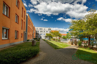 Prodej bytu 1+KK, 35m2, Plzeň