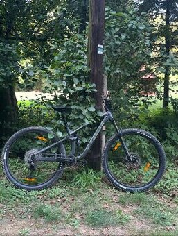 Trek fuel ex5 29
