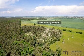 Prodej pole a lesa 84 910 m2