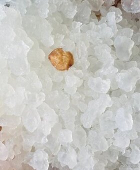 Tibi krystaly a kefírová houba, zdravé přírodní produkty