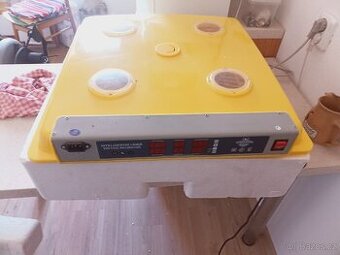 Prodám líheň 98 vajiček