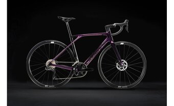 LAPIERRE Xelius SL 5.0 Di2 Luxy Blackberry 1