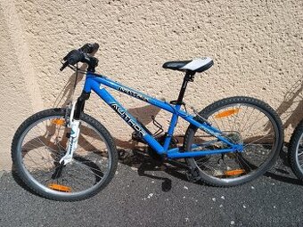 2x Author Matrix vel. 24