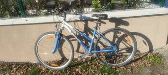 Horské, silniční, autor , dámské