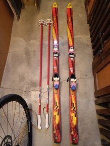 Dynamic Sensation 177cm