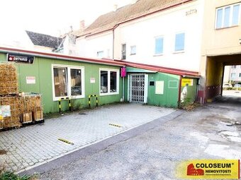 Znojmo, pronájem obchodních a skladovacích prostor, 303 m2, - 1