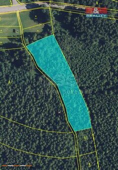 Prodej lesa, 6089 m², Němčice - 1